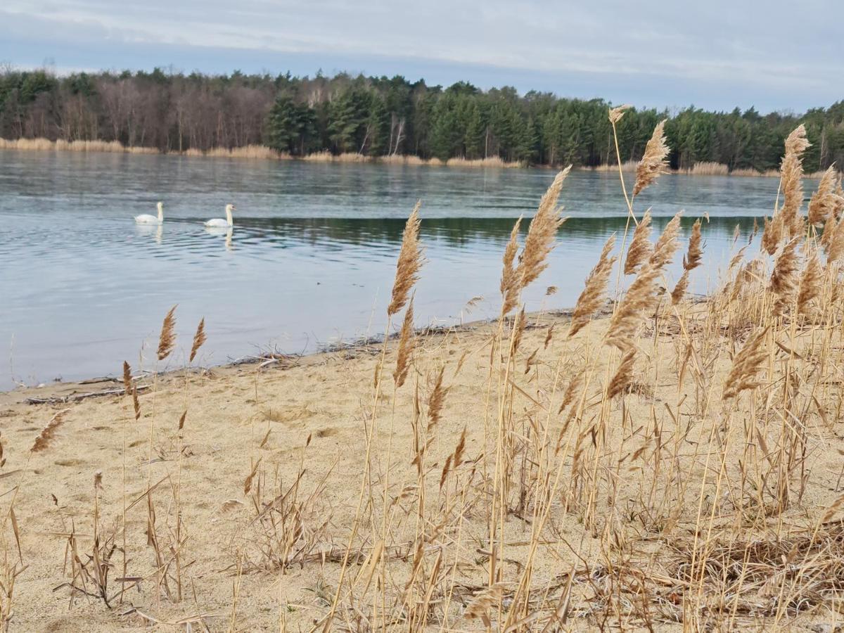 Ferienhaeuser Kiebitzsee * Falkenburg