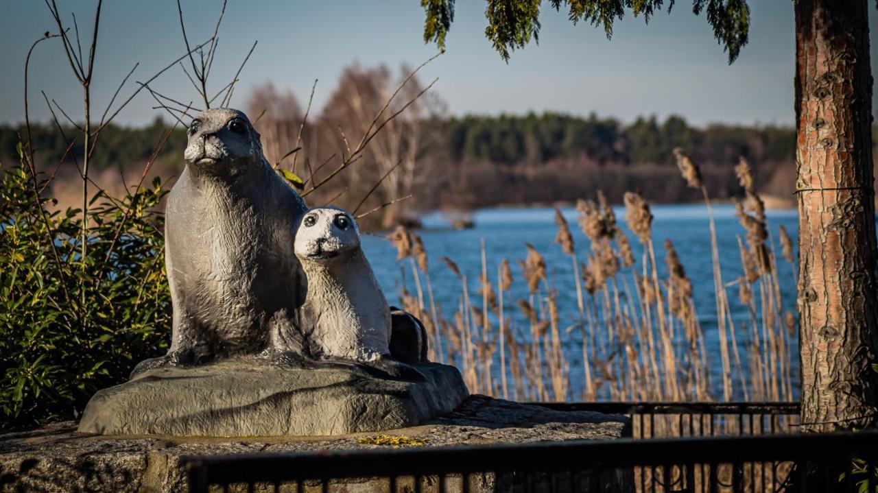 Ferienhaeuser Kiebitzsee *